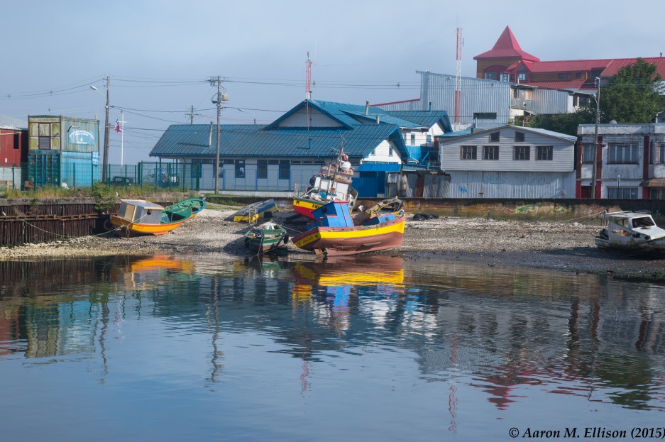 Ancud-Boats-POD-2015-07-29-AME-2497