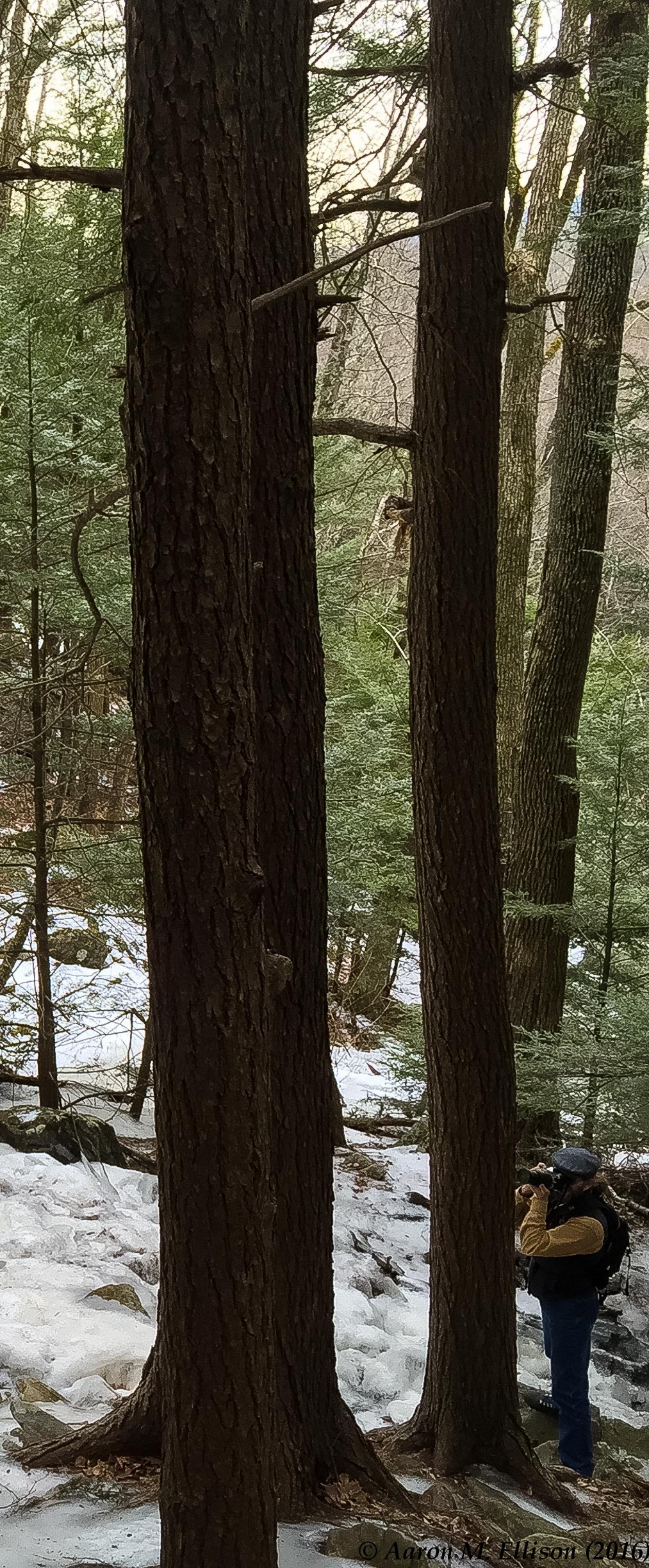 Aaron at Spirit Falls by FC-20160131-AME-3190