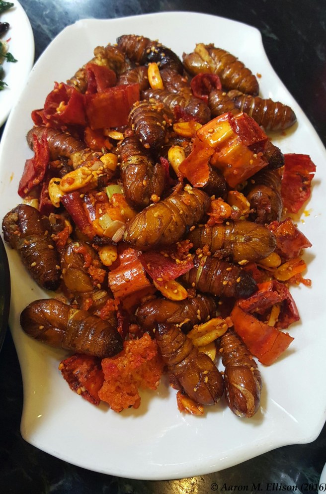 Stir-fried silk worm pupae-20160817-AME-1