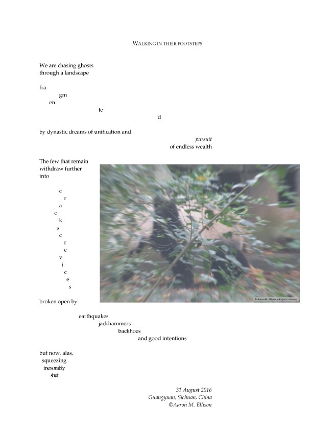 Walking in their footsteps