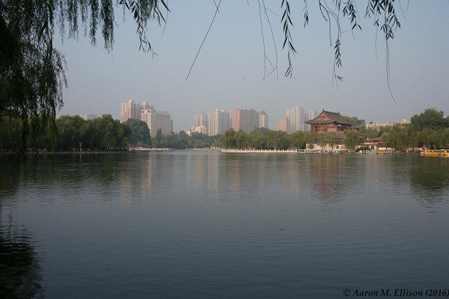 Xing Qing gardens-20160818-AME-7053-small