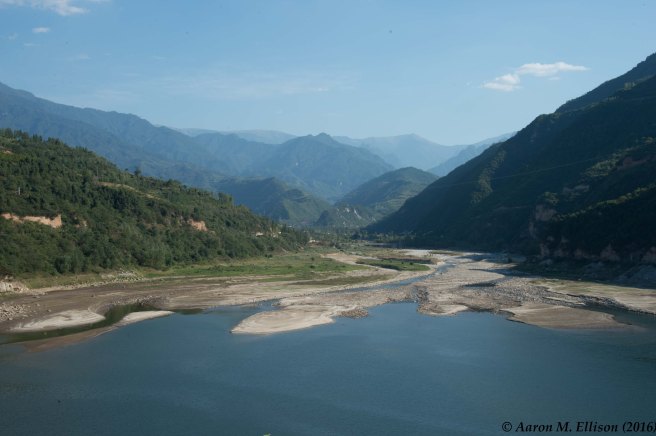 BaoJiangreservoirwetland-20160901-AME-7809