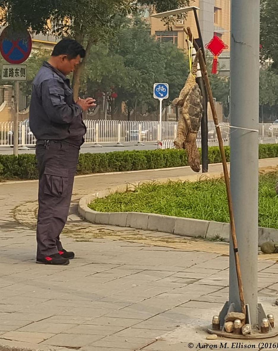 beijing-bob-20161001-ame-085311