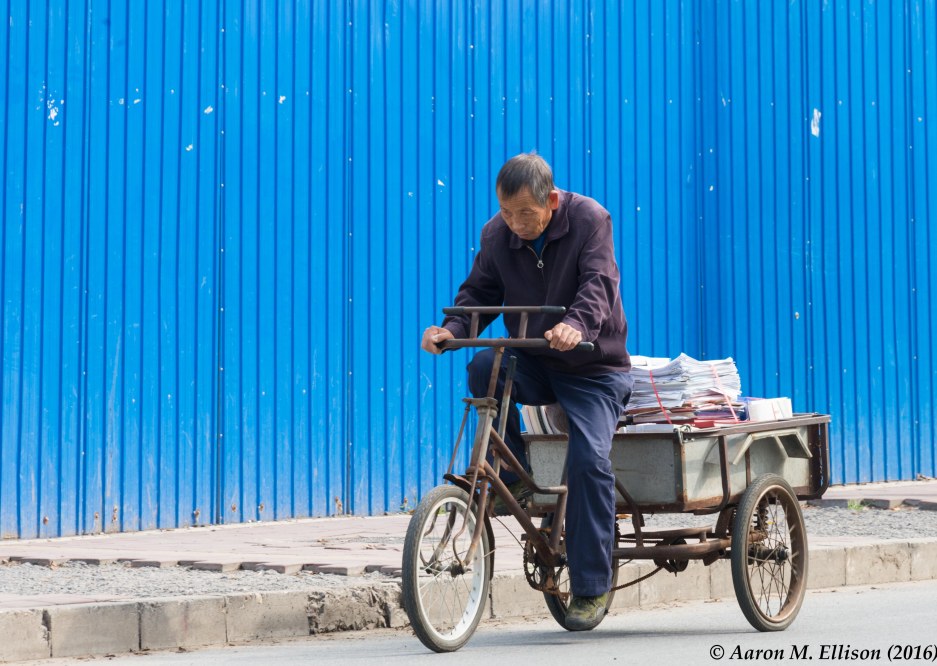 beijing-bob-20161005-ame-8790
