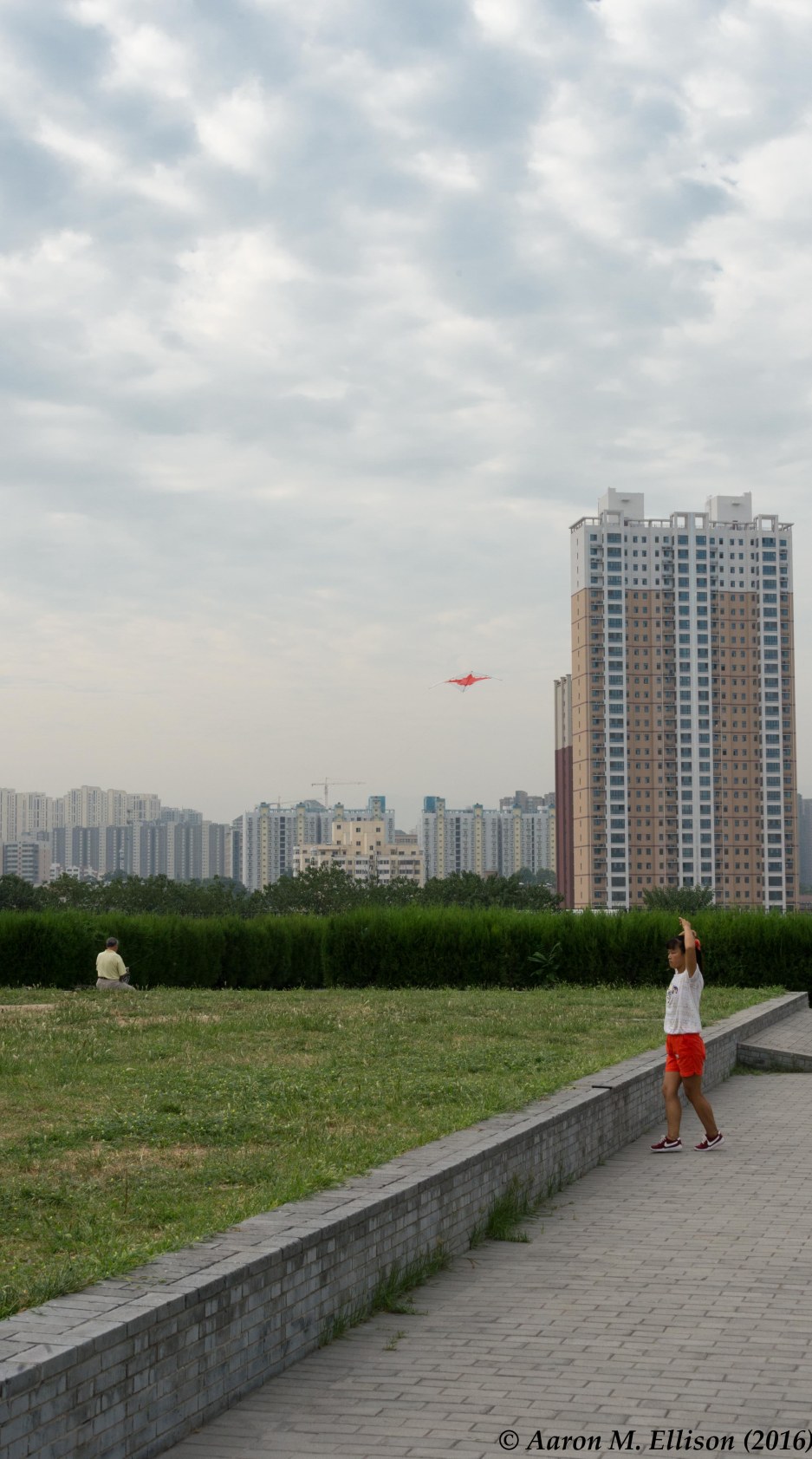 KiteFlyingGreenDragonTemple-20160904-AME-7942
