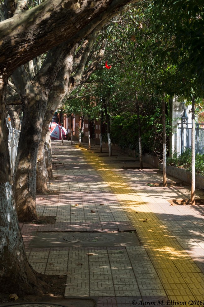 kunming-path-for-the-blind-bob-20161010-ame-8884