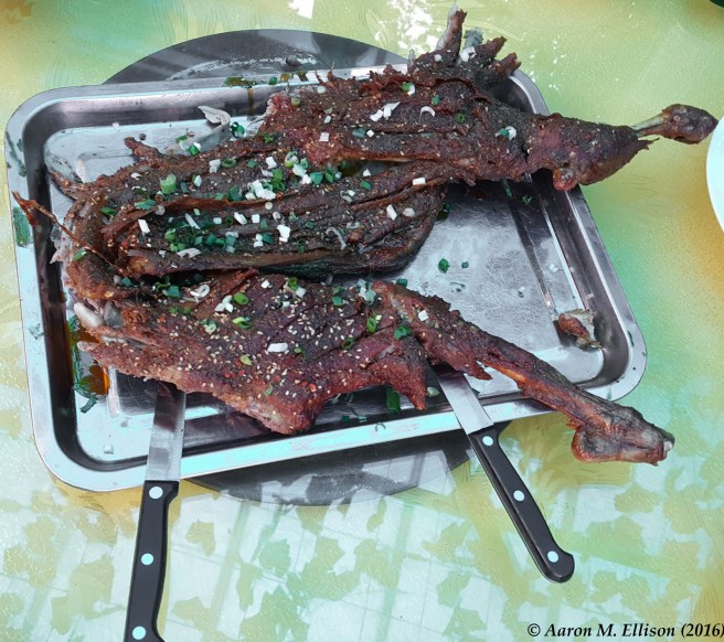 Lamb BBQ-20160905-AME-181137