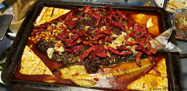 Tanyu-20160826-AME-182231