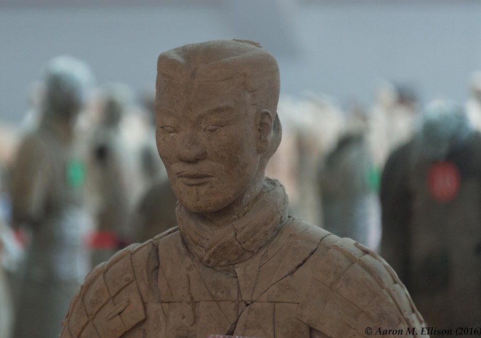 TerraCottaWarriors-20160820-AME-7128
