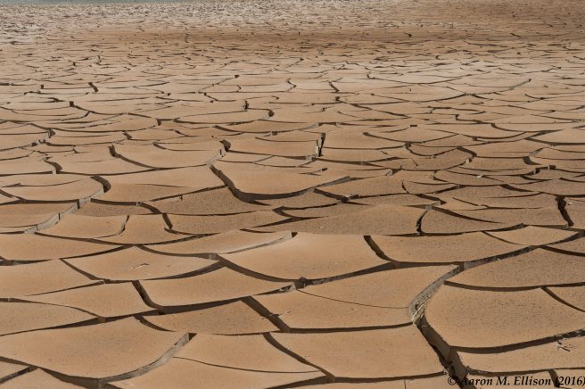 tibet-6-7-20160915-ame-8469