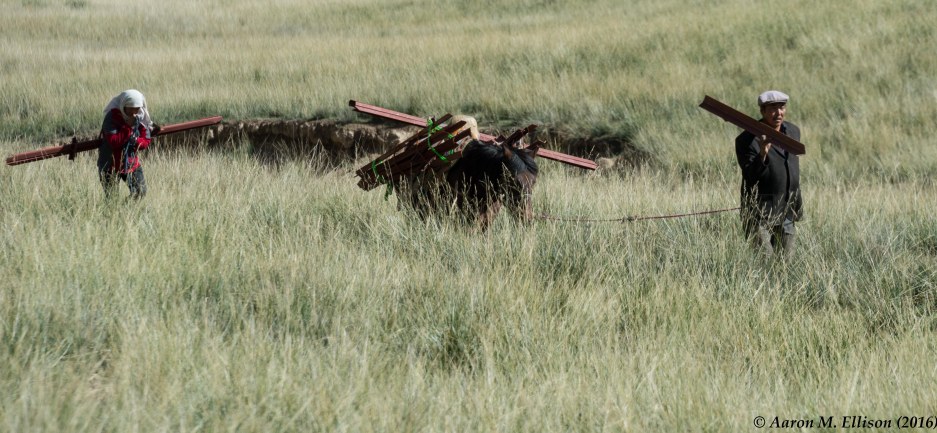 tibet-bob-20160911-ame-8108