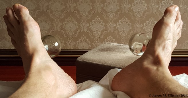 kunming10-20161010-ame-141511