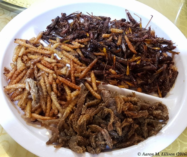 kunming6-8-20161006-ame-191723