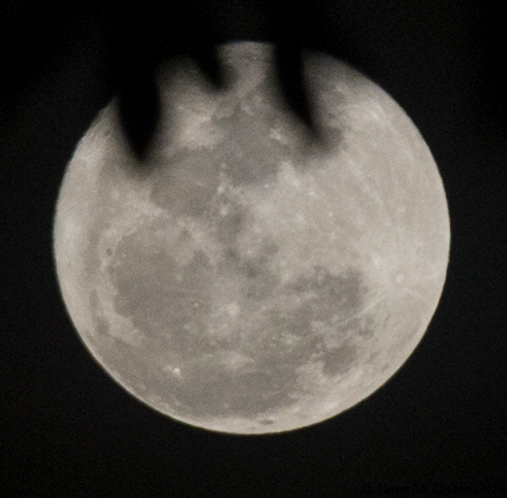 colombia-20161114-ame-9753