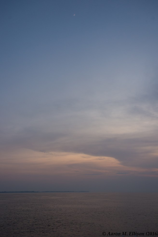 out-of-manaus-day2-20161124-ame-0143