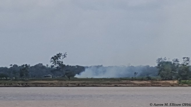 out-of-manaus-day2-20161124-ame-115217