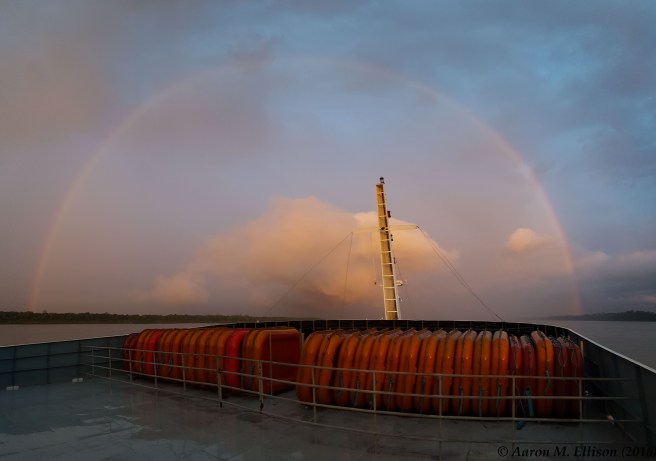 ranibow-20161118-ame-180234