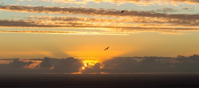 valparaiso-scenes-20161031-ame-9270