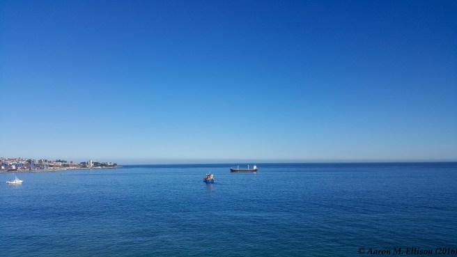 view-from-my-office-20161102-ame-091938