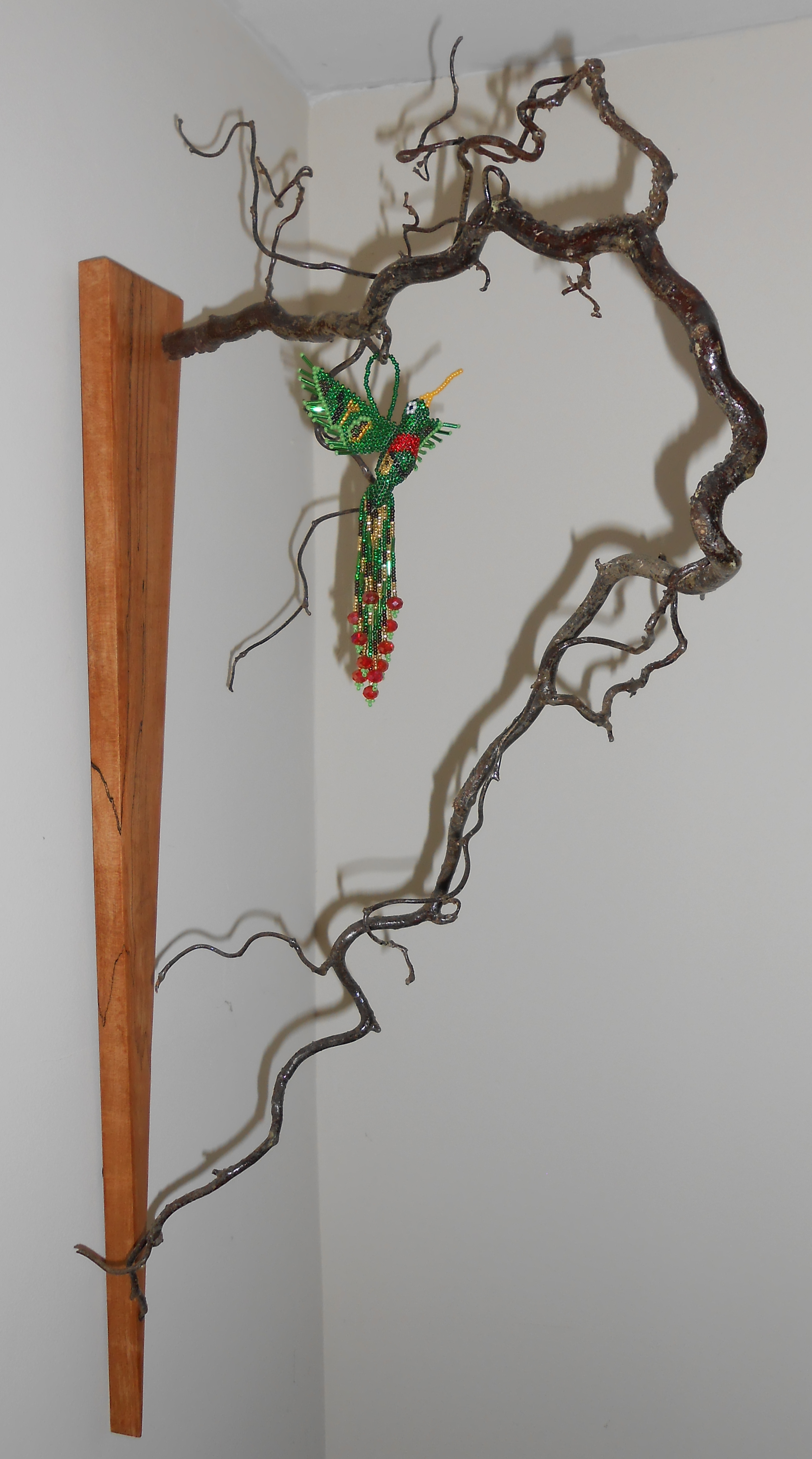 DSCN5150-HazelHummingbirdSpaltedMaple-20150615-AME