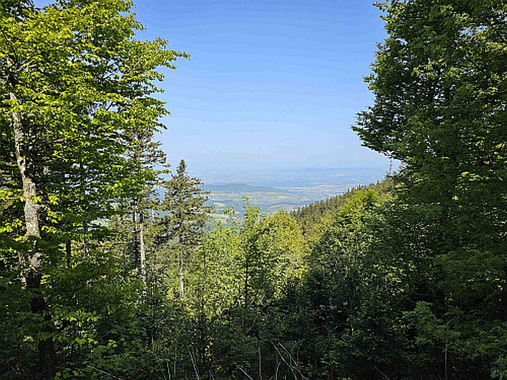 A view from Schauinsland